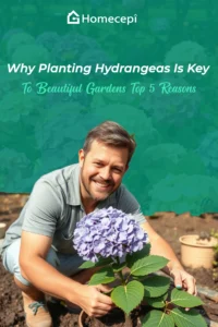 Why Planting Hydrangeas Is Key To Beautiful Gardens Top 5 Reasons